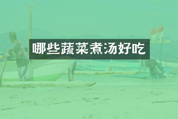 哪些蔬菜煮汤好吃