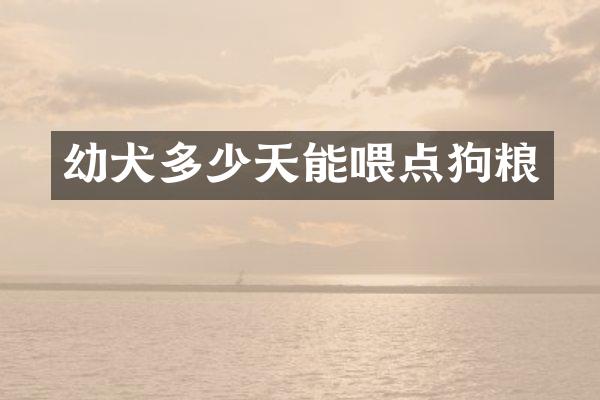 幼犬多少天能喂点狗粮