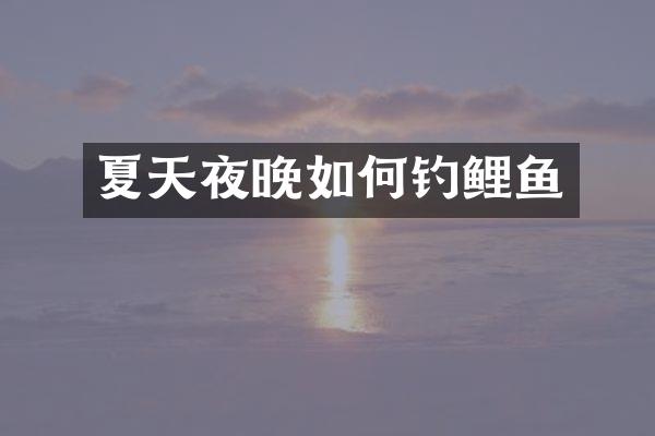 夏天夜晚如何钓鲤鱼