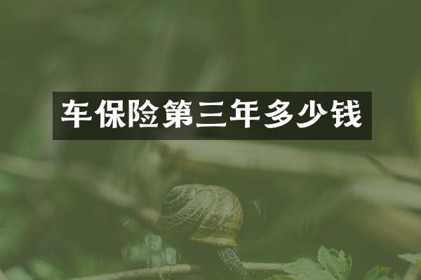车保险第三年多少钱