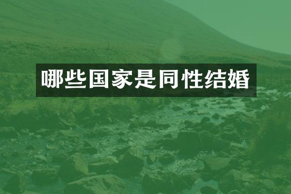 哪些国家是同性结婚