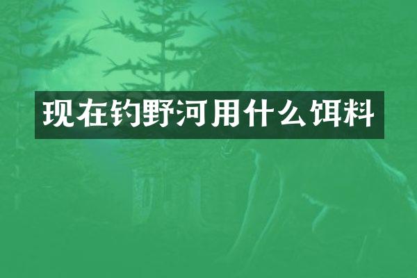 现在钓野河用什么饵料