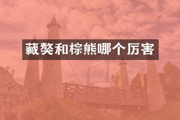 藏獒和棕熊哪个厉害