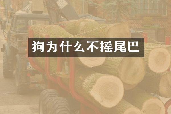 狗为什么不摇尾巴