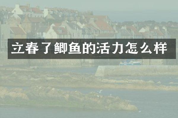 立春了鲫鱼的活力怎么样