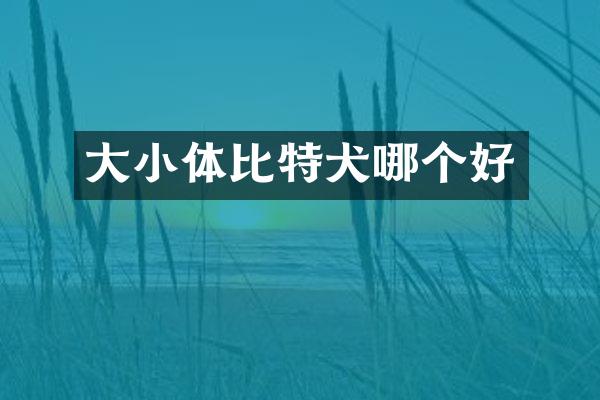 大小体比特犬哪个好