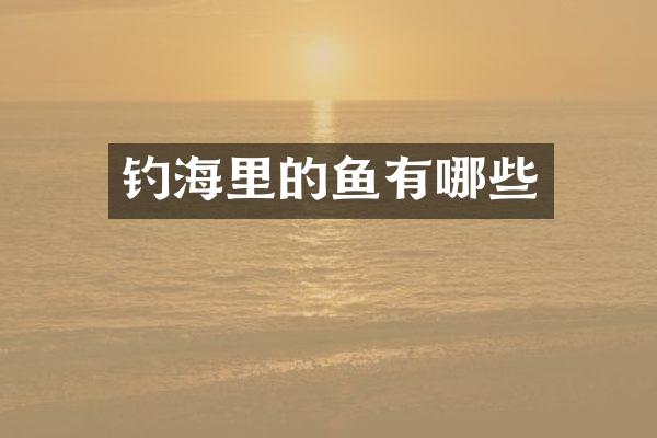 钓海里的鱼有哪些