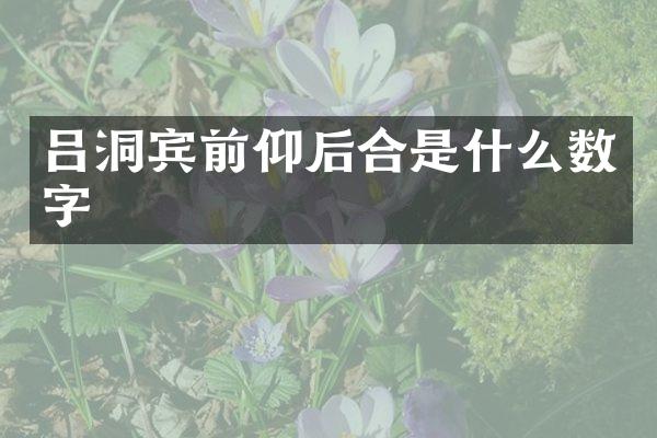 吕洞宾前仰后合是什么数字