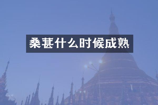 桑葚什么时候成熟