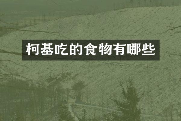 柯基吃的食物有哪些