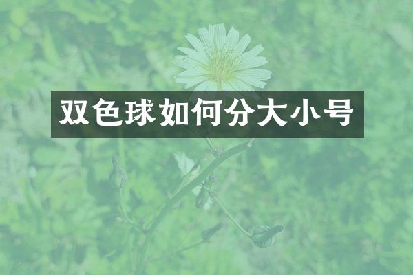 双色球如何分大小号
