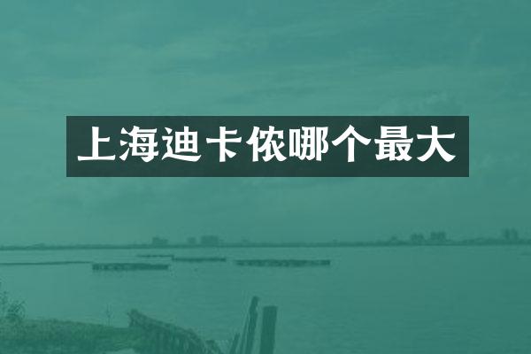 上海迪卡侬哪个最大