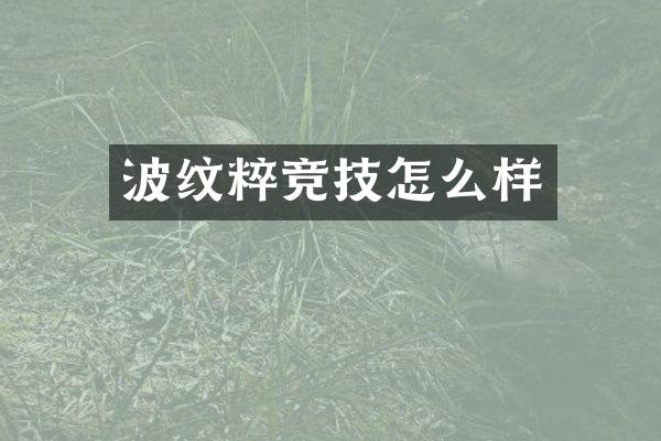 波纹粹竞技怎么样