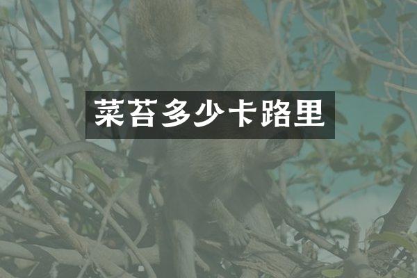 菜苔多少卡路里