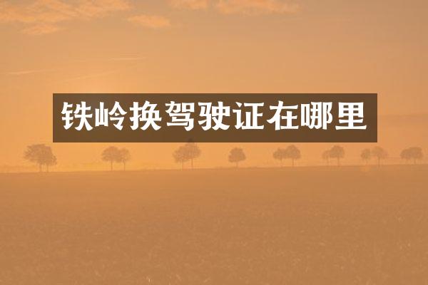 铁岭换驾驶证在哪里