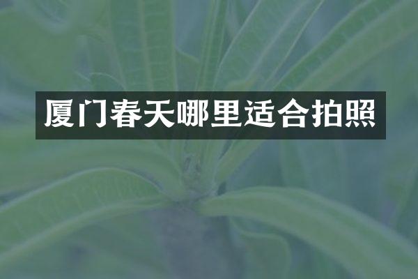 厦门春天哪里适合拍照