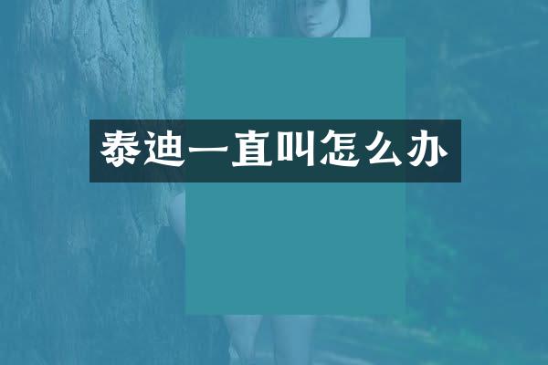 泰迪一直叫怎么办