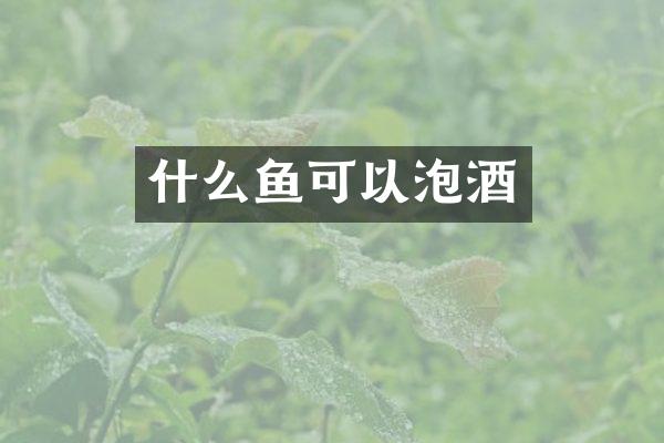 什么鱼可以泡酒