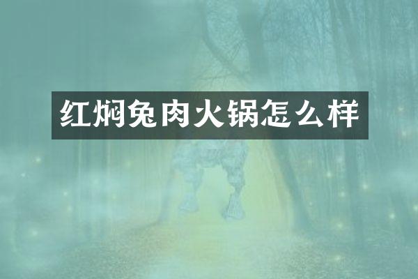 红焖兔肉火锅怎么样