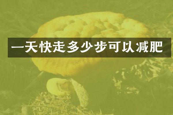 一天快走多少步可以减肥