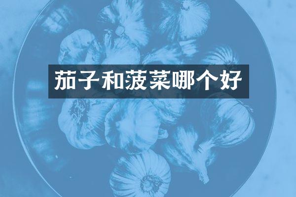 茄子和菠菜哪个好