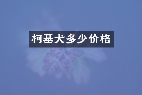 柯基犬多少价格