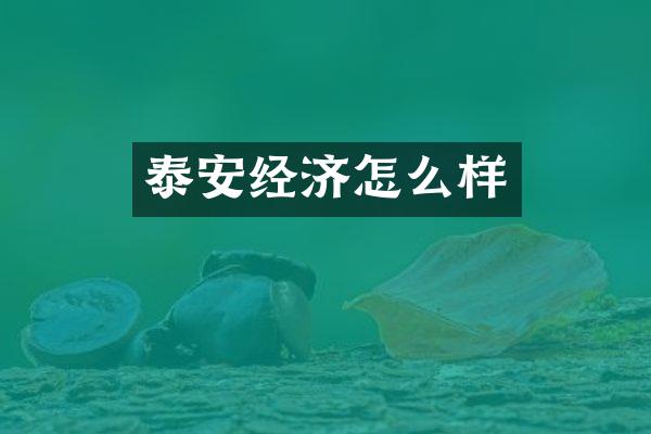 泰安经济怎么样