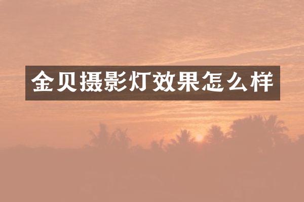 金贝摄影灯效果怎么样