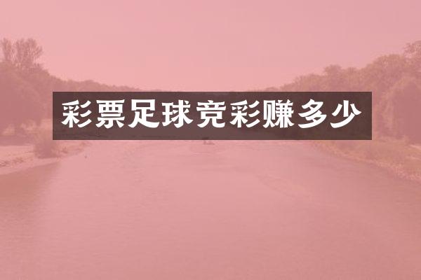 彩票足球竞彩赚多少