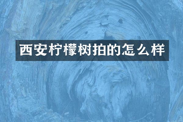 西安柠檬树拍的怎么样