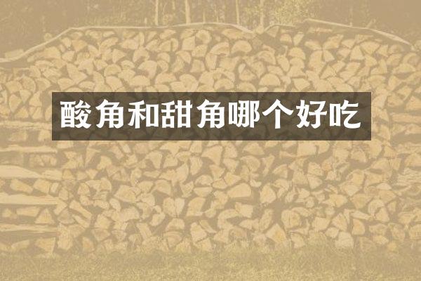 酸角和甜角哪个好吃