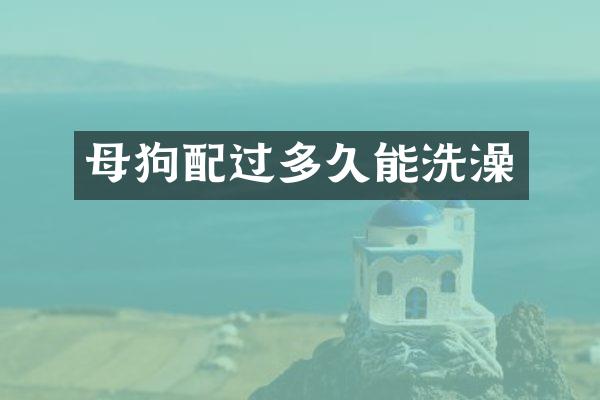 母狗配过多久能洗澡