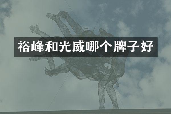 裕峰和光威哪个牌子好