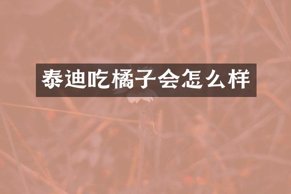 泰迪吃橘子会怎么样