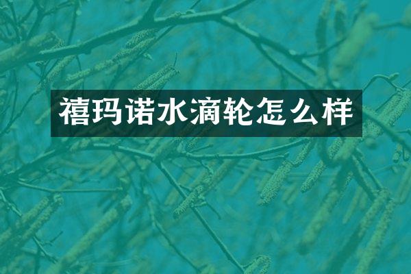 禧玛诺水滴轮怎么样