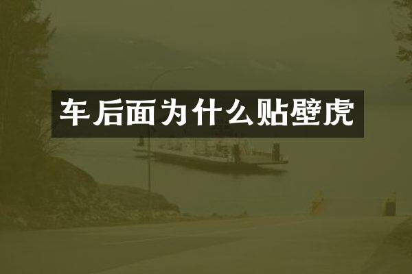 车后面为什么贴壁虎