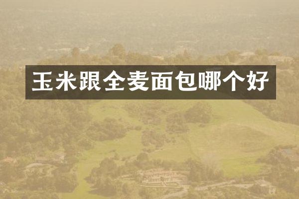 玉米跟全麦面包哪个好