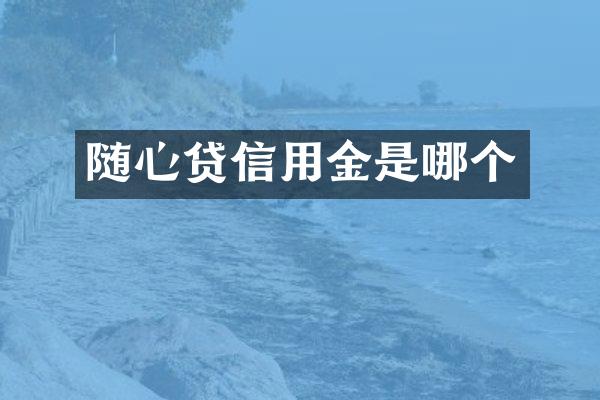 随心贷信用金是哪个