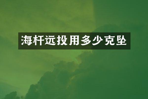 海杆远投用多少克坠