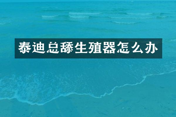 泰迪总舔生殖器怎么办