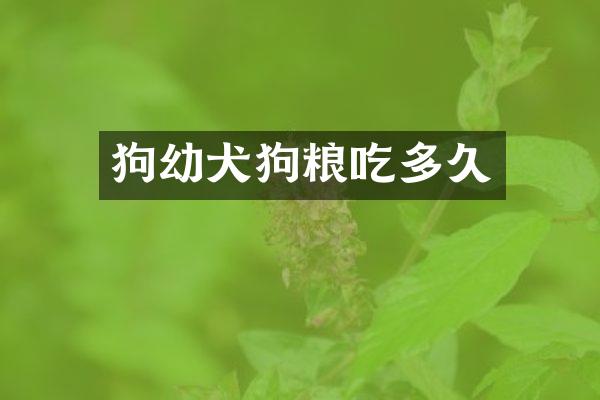 狗幼犬狗粮吃多久