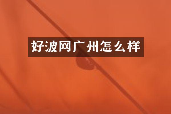 好波网广州怎么样
