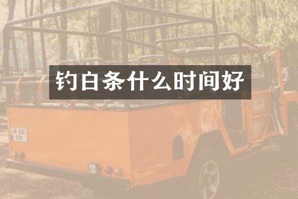 钓白条什么时间好