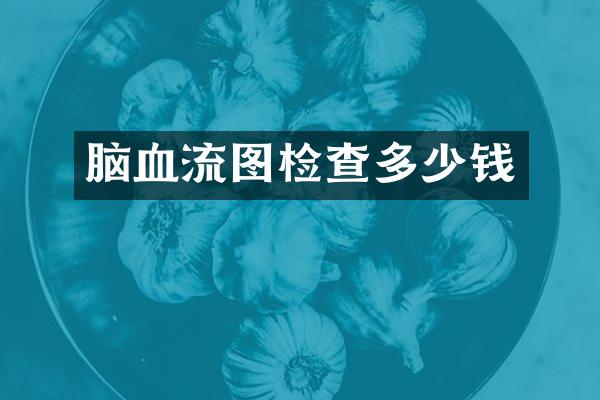 脑血流图检查多少钱