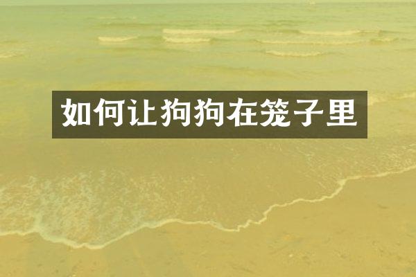 如何让狗狗在笼子里