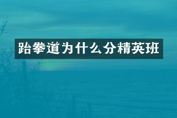 跆拳道为什么分精英班