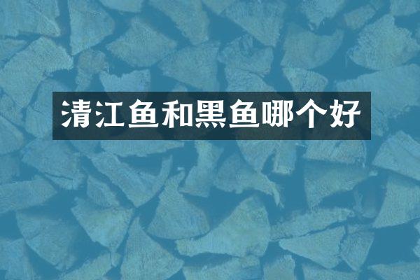 清江鱼和黑鱼哪个好