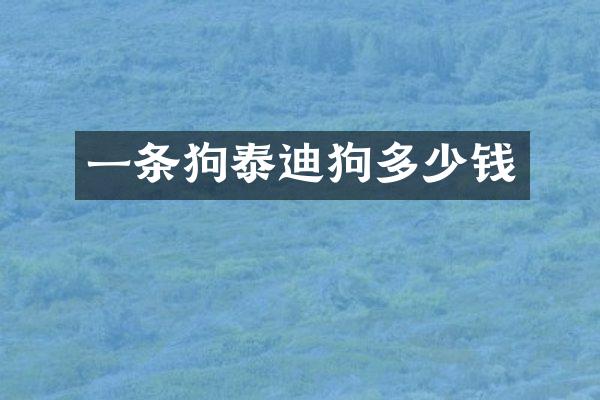 一条狗泰迪狗多少钱