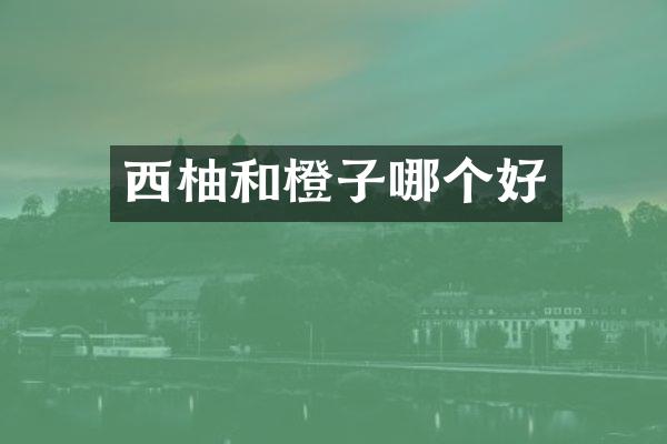 西柚和橙子哪个好