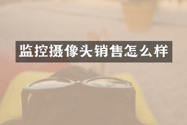 监控摄像头销售怎么样